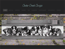 Tablet Screenshot of cedarcreekcorgis.com
